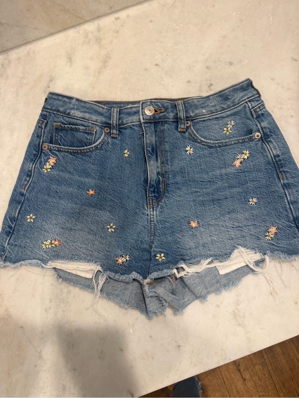 American Eagle Outfitters Medium Blue Denim Floral Embroidered Shorts